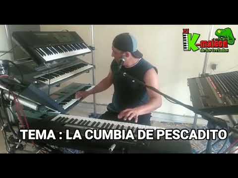 El camaleón de los teclados - la cumbia del pescadito en vivo desde casita