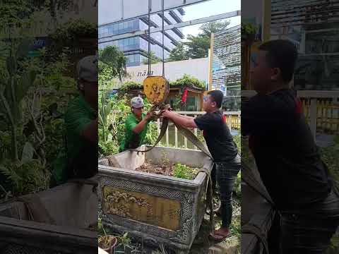 Cẩu hàng đi công trình