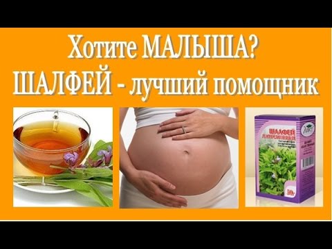 Бесплодие - не приговор, или как стимулировать созревание яйцеклеток. Характеристики средства