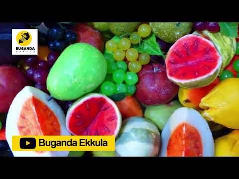 Okuloota Ebibala Ebyengedde - Ebirooto Namakulu Gaabyo - Buganda Ekkula