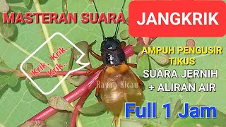 Download lagu Masteran Suara Jangkrik - Suara Jernih Cocok Untuk Isian Burung Kicau - Murai Batu - Cricket Sound mp3