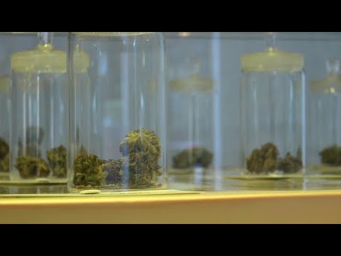 I raggi X del ginocchio Krasnodar Trattamento handroz del trattamento cervicale e toracico