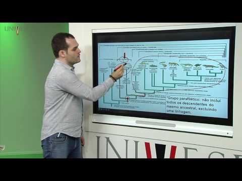 Zoologia dos Vertebrados – Aula 03 – Princípios de taxonomia e filogenia dos animais