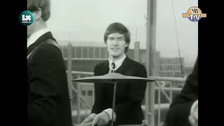 The Searchers - He&#39;s Got No Love (1965)