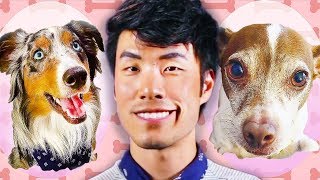 The Try Guys Switch Pets For A Day