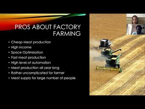 <p>Factory Farming: Eating Animals</p>