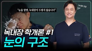 녹내장 수술만 10,000번 해본 안과 의사가 알려주는, 눈의 구조👁️