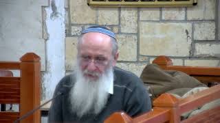 המקדש - השתקפות של ההויה - שיעור 25 - מלכים א' - פרק ז' (הרב אורי עמוס שרקי) - התמונה מוצגת ישירות מתוך אתר האינטרנט יוטיוב. זכויות היוצרים בתמונה שייכות ליוצרה. קישור קרדיט למקור התוכן נמצא בתוך דף הסרטון