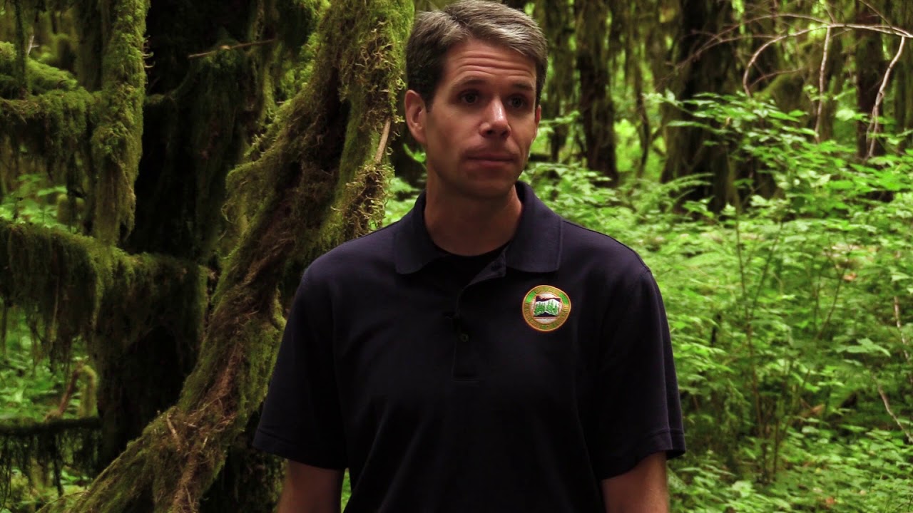 Written Plans - Forest Practices Act Rules