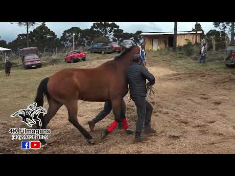 JOCKEY CLUB BEIRA RIO - URUPEMA - APRESENTAÇÃO - 300 METROS - 16.09.22