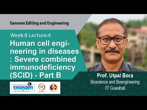 Genome Editing and Engineering Intro Video