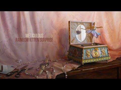 Miniatura de Meticulous