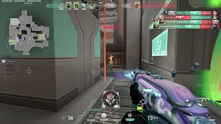 survival dAnce