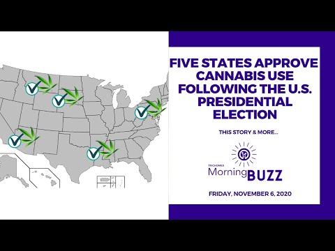 FIVE STATES APPROVE CANNABIS USE FOLLOWING THE U.S. PRESIDENTIAL ELECTION | TRICHOMES Morning Buzz