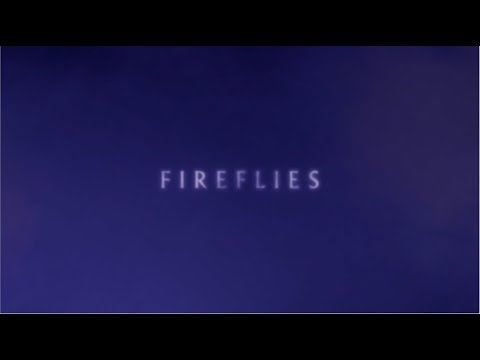 Nick Cave and The Bad Seeds - Fireflies (Official Lyric Video)