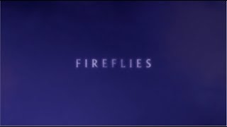 Nick Cave and The Bad Seeds - Fireflies (Lyric Video)