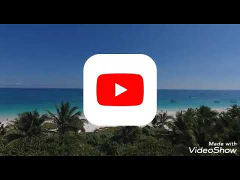 Cavalinho do fantastico dia 16/08/20