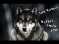 Boris Novković - Vukovi umiru sami 