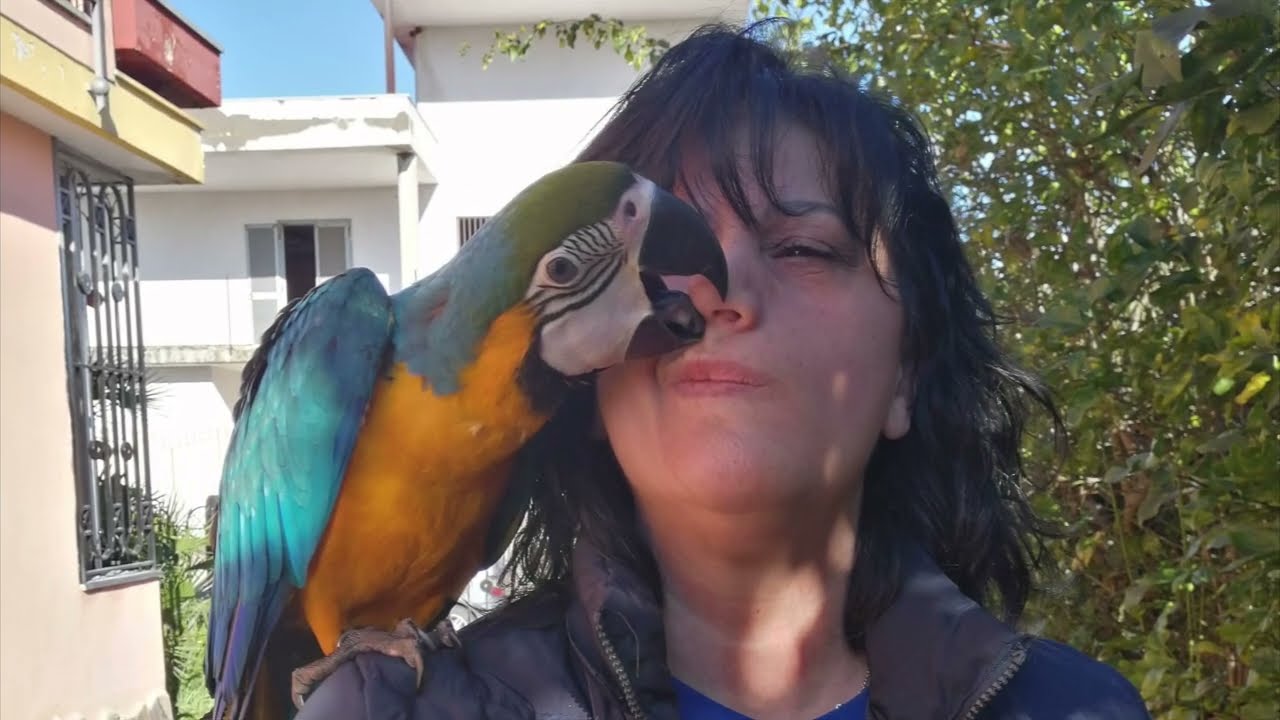 Io e i miei pappagalli