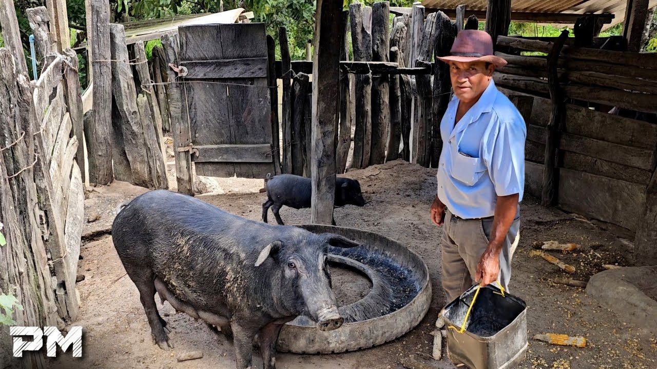 HE PRODUCES ALL HIS FOOD IN THE PEACE OF THE COUNTRYSIDE