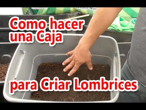 Kal a las lombrices con glitserinovoy por la vela La eficiencia de los preparados de las lamblias