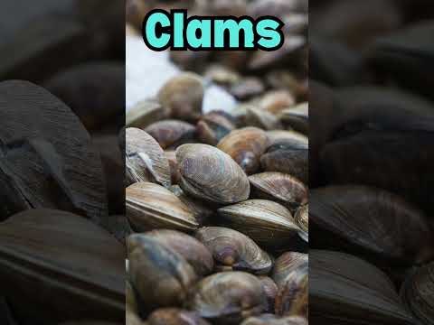 Ocean Treasures: Exploring Superfoods - Clams