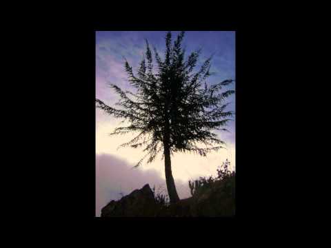 AMARU PUMAC KUNTUR sanjuanito