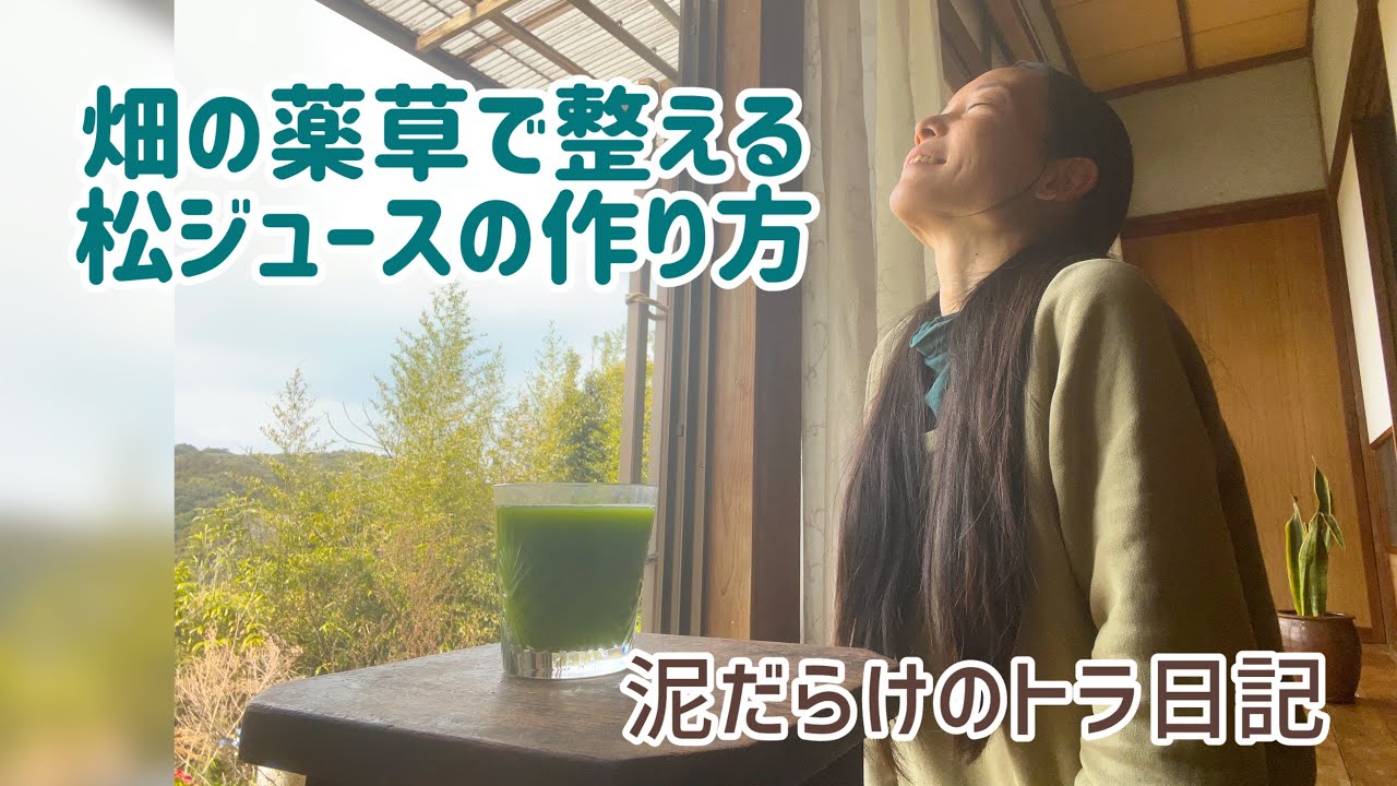 畑の薬草で整える【松ジュースの作り方摂り入れ方】~泥だらけのトラ日記~