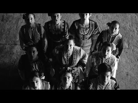 Ivan Shopov, Carmen Rizzo & Dhani Harrison - Ascending Into Silence (Official Video)