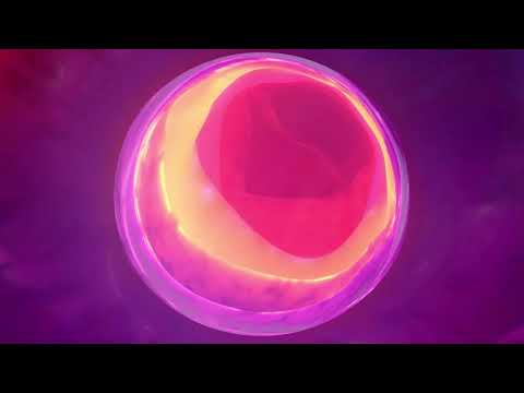 Day 41 Crown Emotions - PHa -  "I am the Divine Spark" Matias De Stefano