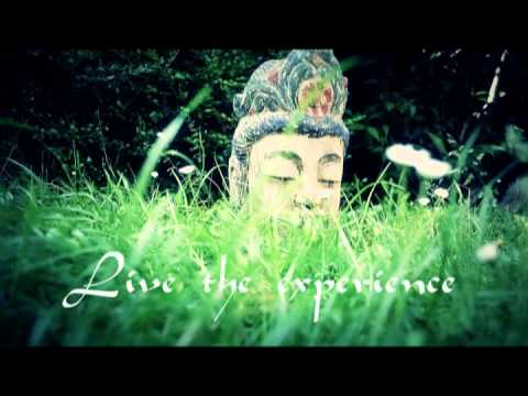Buddha Tribe: Youtube Channel Trailer with Relaxing Buddha Lounge Music