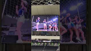 【CT AMAZE】PREMIER12 台湾VSドミニカ@台北大巨蛋20241114 #台湾チア #cheerdance #cheerleading #amaze #啦啦隊 #premier12