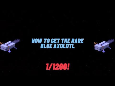 How To Get The Rare Blue Axolotl! (Version 1.17)