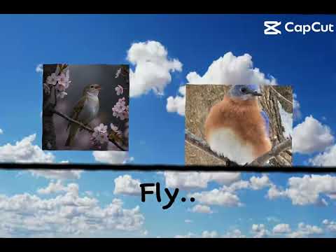 2 birds on a wire…. 1 tries to fly away 