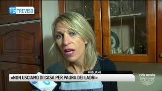 TG TREVISO (16/12/2017) - «NON USCIAMO DI CASA PER PAURA DEI LADRI»