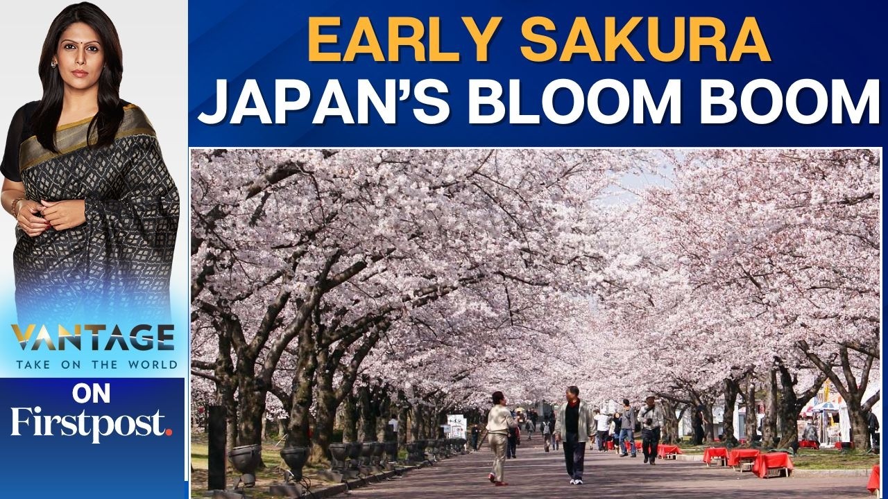 Millions Rush to Witness Sakura as Cherry Blossoms Bloom Early | Vantage with Palki Sharma | N18G