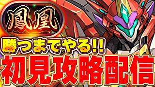 新称号「鳳凰」チャレンジ初見攻略！！勝つまでやる！！【パズドラ実況】＃パズドラ
