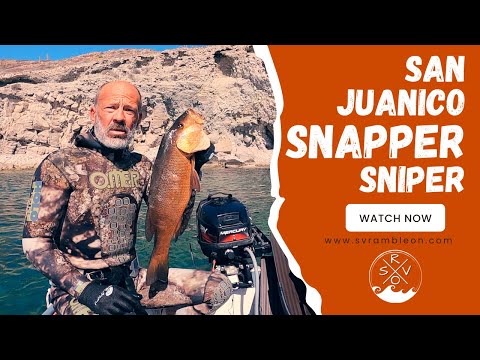 Spearing Dogtooth Snapper in San Juanico | SV Ramble On