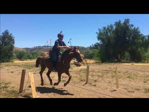 Mounted Archery Practice Weekend May 5-6, 2018