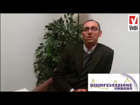 Topo domestico in casa e disinfestazione