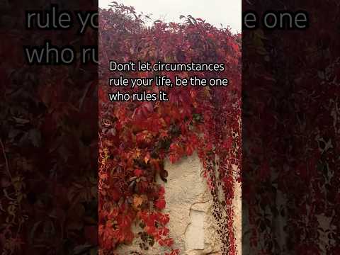 Cozy Autumn🍁#melodydema #dema #shortyoutube #shortvideo #shorts #short #shortsvideo #autumn #asmr