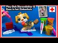 Play Doh Dierendokter En Roos In Ziekenhuis Family Toys Collector