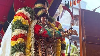 Download lagu ஸ்ரீவில்லிபுத்தூர் ஆண்டாளின் எண்ணெய் காப்பு உத்ஸவம் 2ம் நாள் காலை  கள்ளழகராய் என் கோதை/‎⁨@என்கோதை mp3