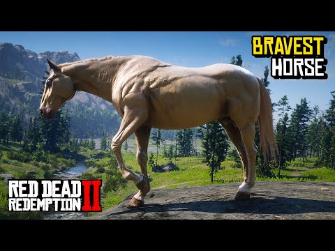 Top 4 BRAVEST Horse You Must OWN (Location & Rankings) - RDR 2