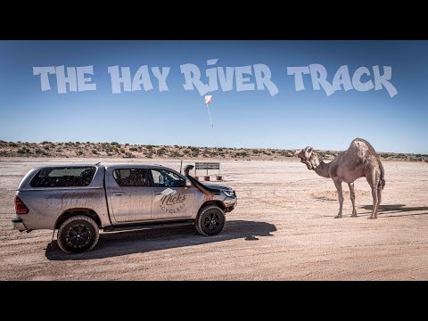 The Hay River Track, Simpson Desert 2023 - Journey to the Heart of Australia 4