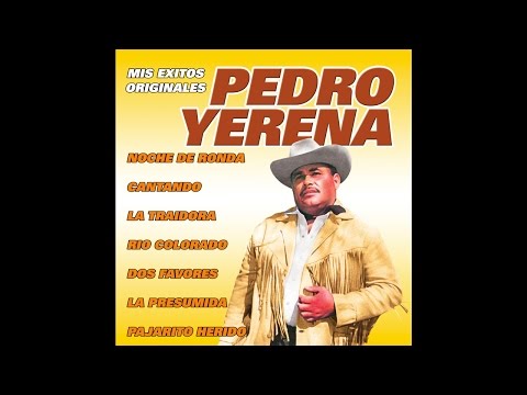 Pedro Yerena - Pajarito Herido