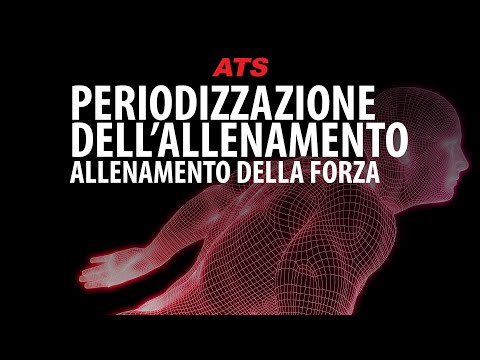 Periodizzazione nell'Allenamento della Forza