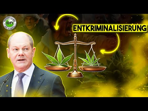 Cannabis-Entkriminalisierung Säule 1: Das musst du wissen, wenn Bubatz legal | ON MPU | 2023