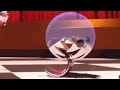 The Amazing Digital Circus But Only When Bubble Is On Screen Full Screentime