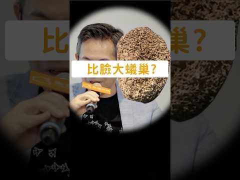 理揚室內裝修設計有限公司 短影音縮圖